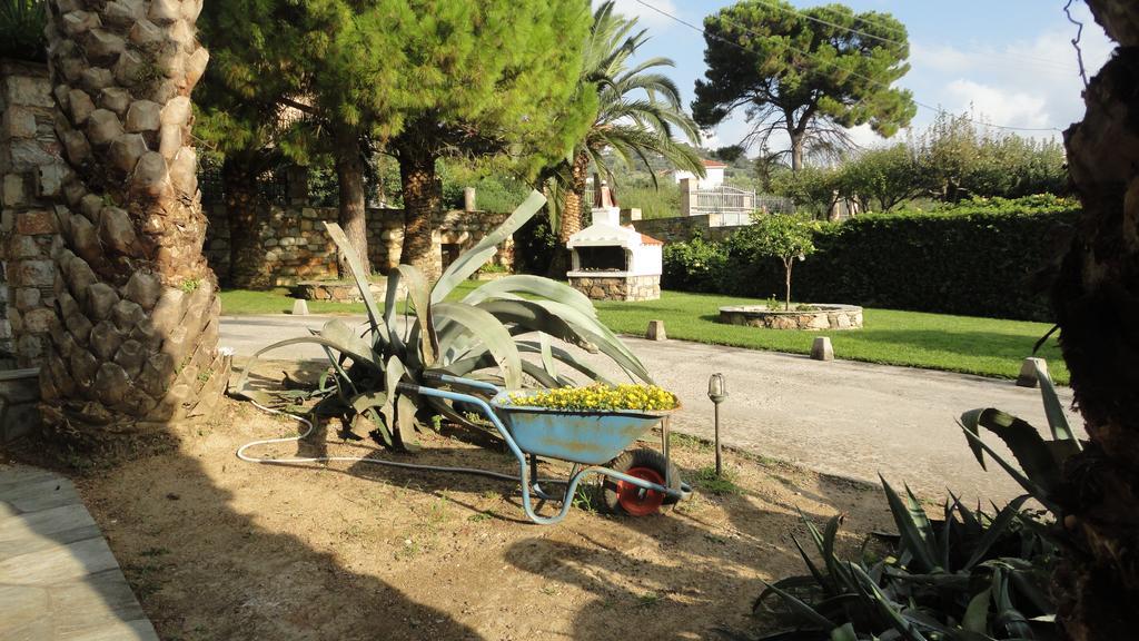 Melrose Aparthotel Skopelos Town Exterior photo